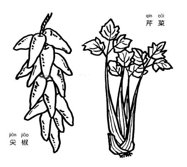 芹菜和尖椒简笔画图片