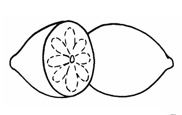 柠檬的简笔画