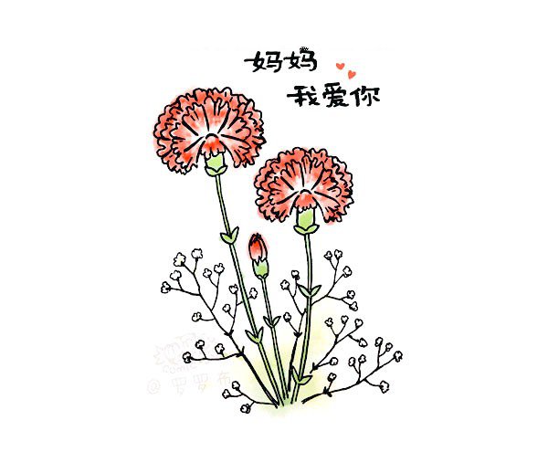 画一束漂亮的康乃馨简笔画