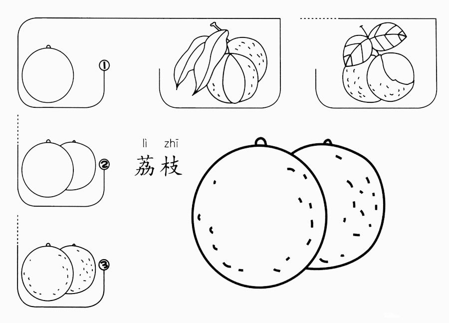 荔枝怎么画