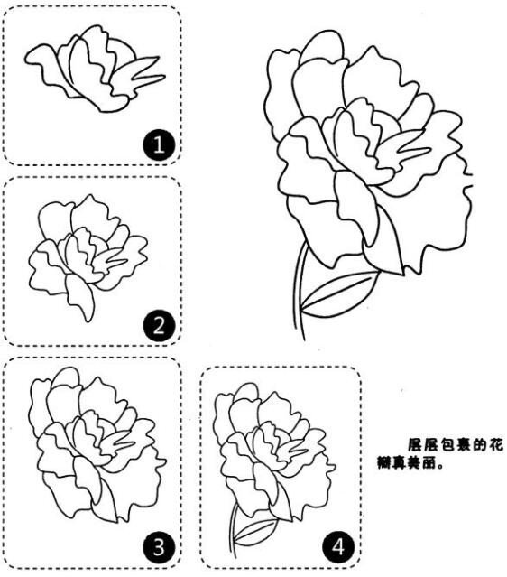 漂亮的牡丹花简笔画