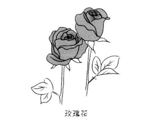 儿童简笔画玫瑰花的画法