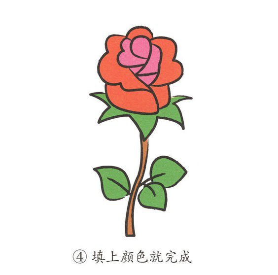 幼儿简笔画 玫瑰花