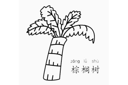 棕榈树怎么画