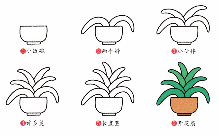 绿色植物君子兰简笔画画法