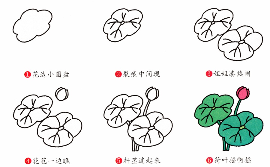 荷塘荷花简笔画画法步骤