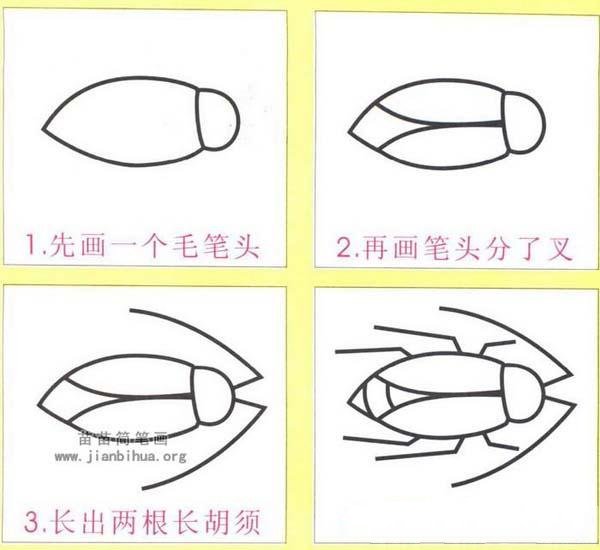 蟑螂简笔画画法步骤：怎么画蟑螂