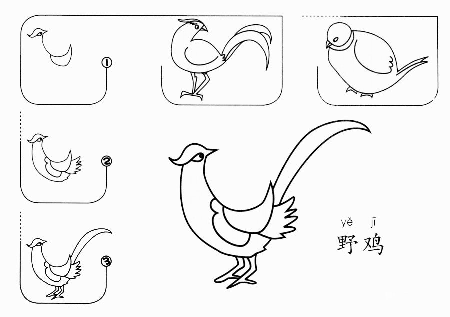 怎么画野鸡