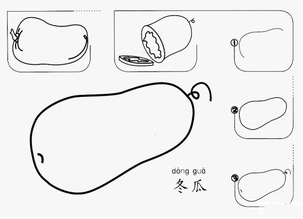 冬瓜怎么画