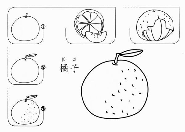 橘子简笔画画法