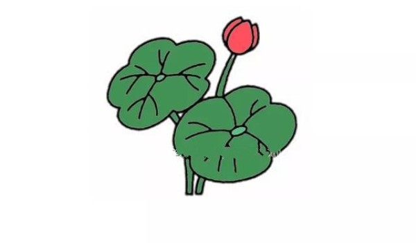 六步画出漂亮的荷花