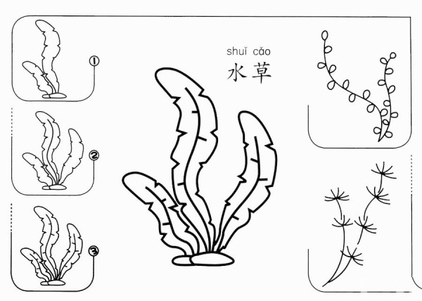 水草怎么画