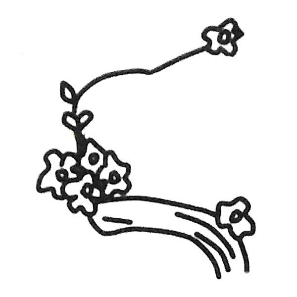 儿童简笔画大全 梅花简笔画教程