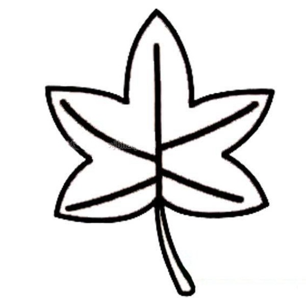 枫叶的简笔画图片