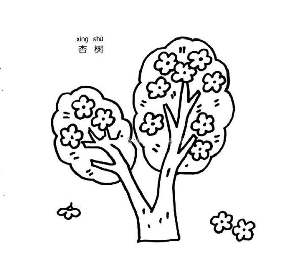 杏树简笔画图片