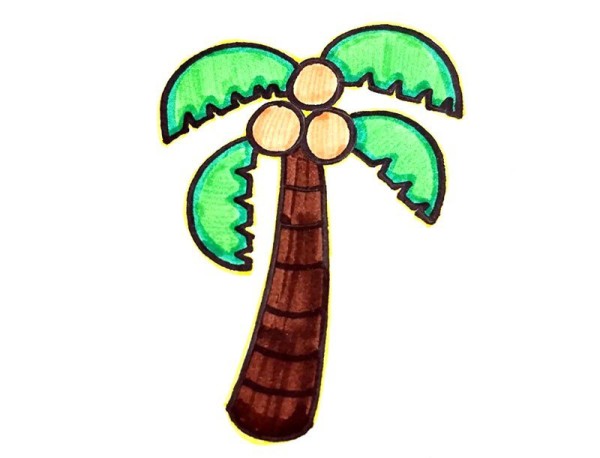 夏天的椰子树