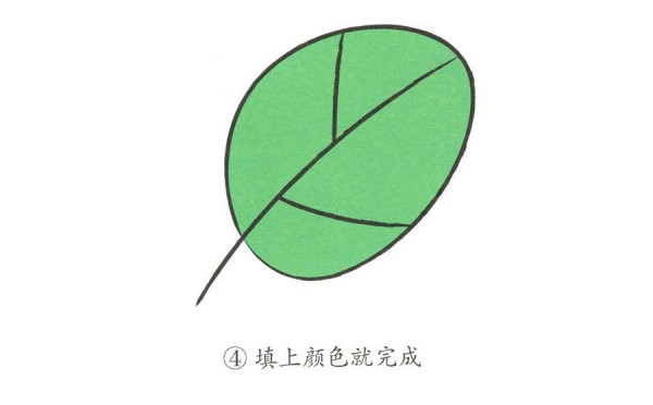 学画简单的树叶