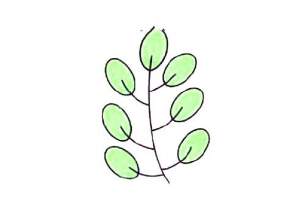 树叶的简单画法