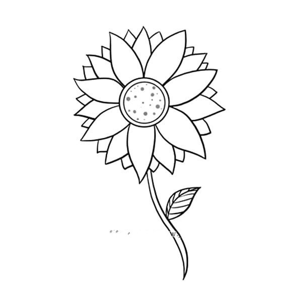 很容易学会的向日葵简笔画