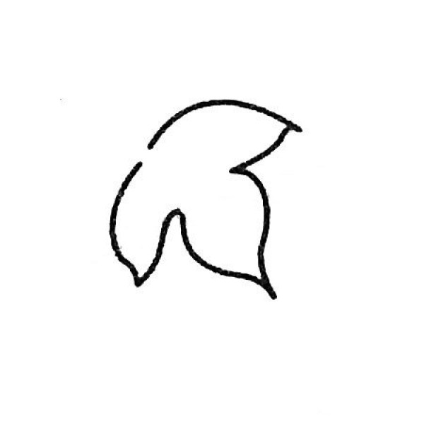 爬山虎简笔画大全及画法步骤