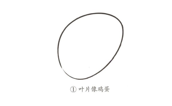 学画简单的树叶