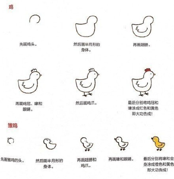 一组画动物的简笔画步骤图