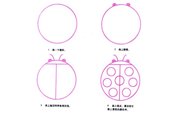七星瓢虫简笔画分解画法教学