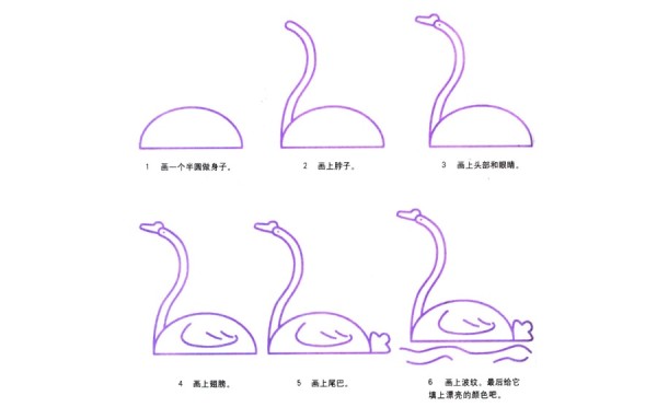 白天鹅简笔画步骤画法