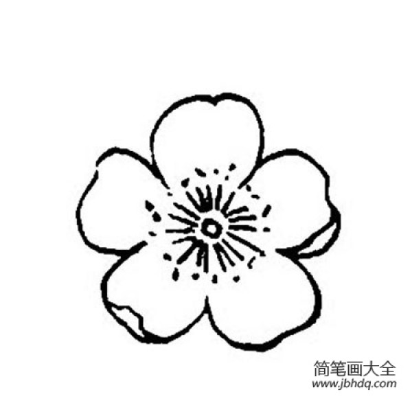 梅花花瓣简笔画