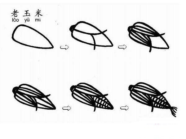 关于老玉米简笔画画法教程