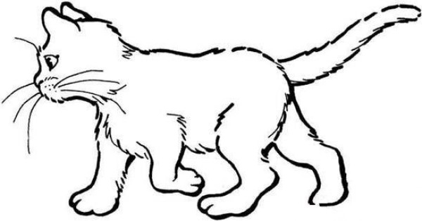 侧面行走的猫简笔画
