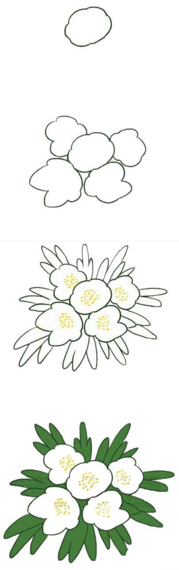 怎么画银莲花