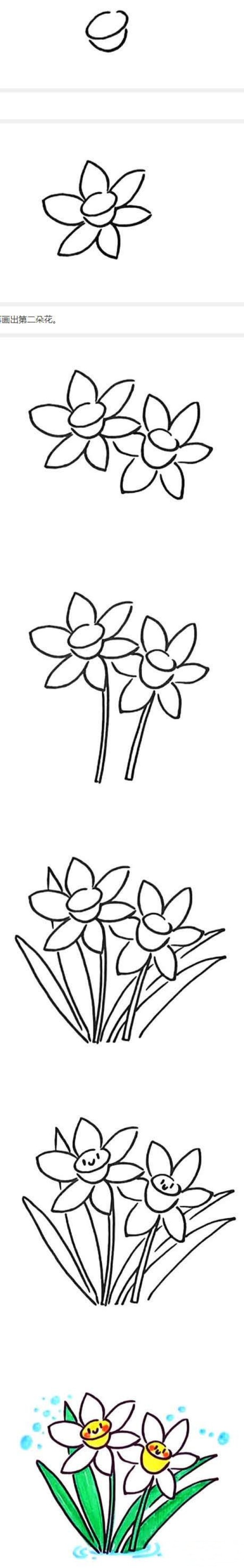 怎么画漂亮水仙花