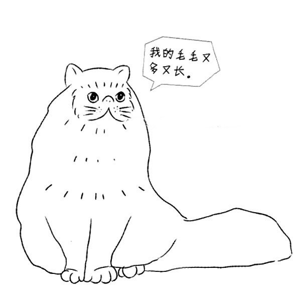 怎么画波斯猫