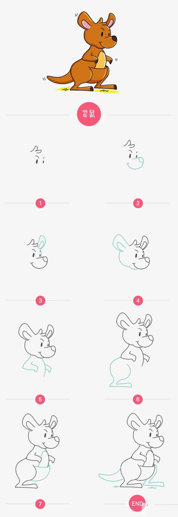 灵活矫健的袋鼠简笔画