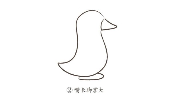 超简单的企鹅简笔画