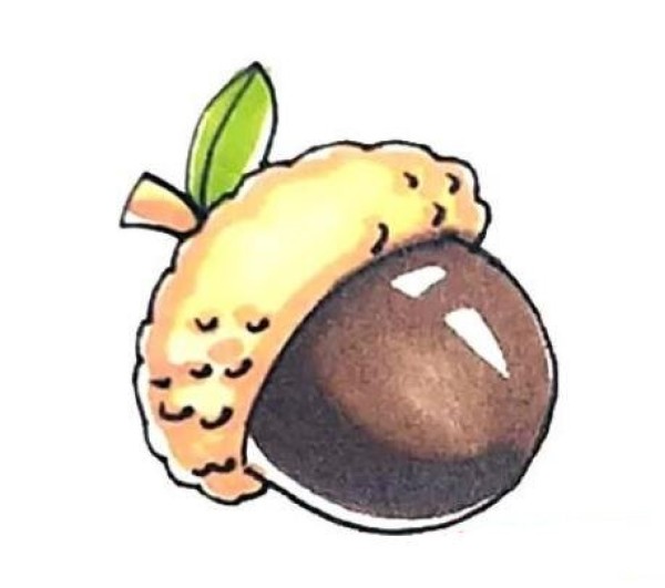 一步一步画橡果简笔画
