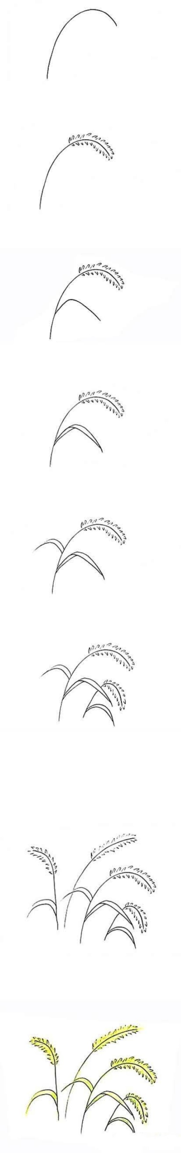 怎么画彩色狗尾草