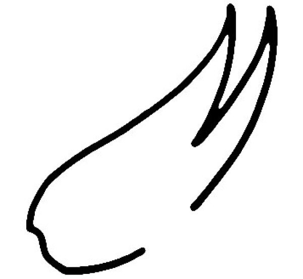 可爱灵活的燕子简笔画