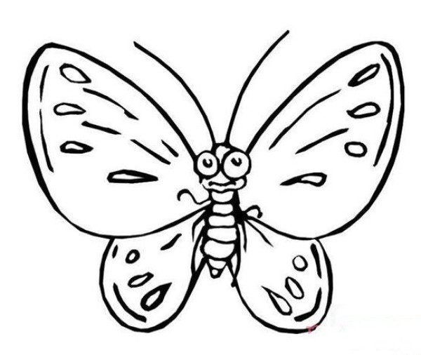 花蝴蝶手绘简笔画