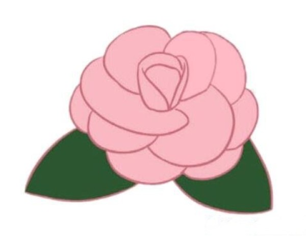 漂亮山茶花怎么画