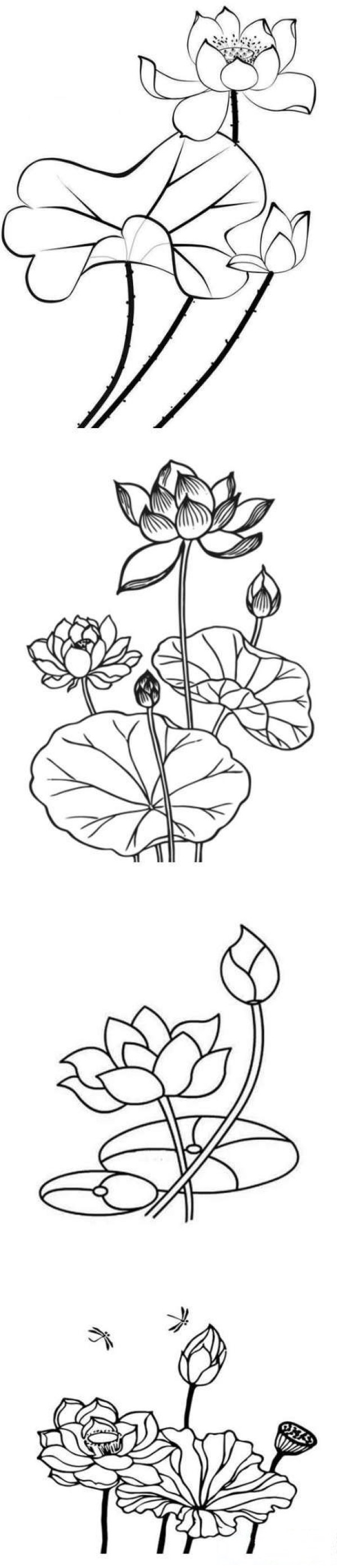 怎样画池塘荷花