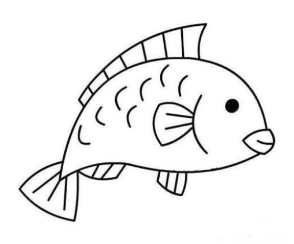 儿童鲤鱼简笔画