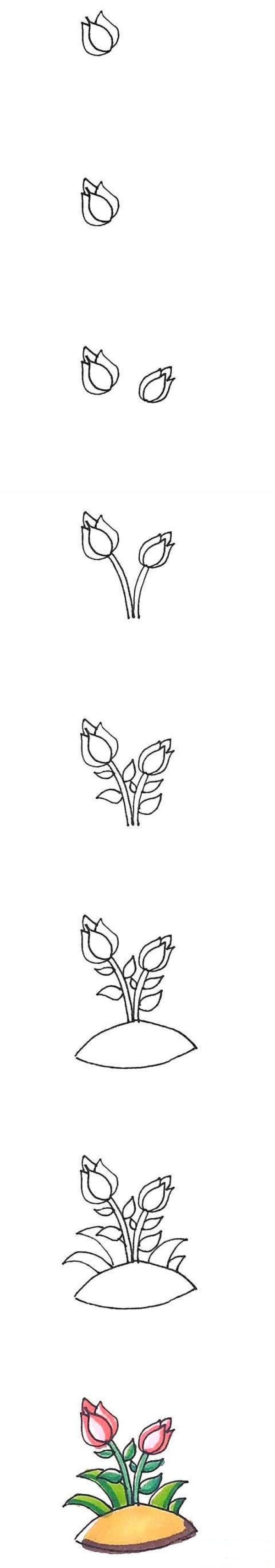 彩色月季花简笔画
