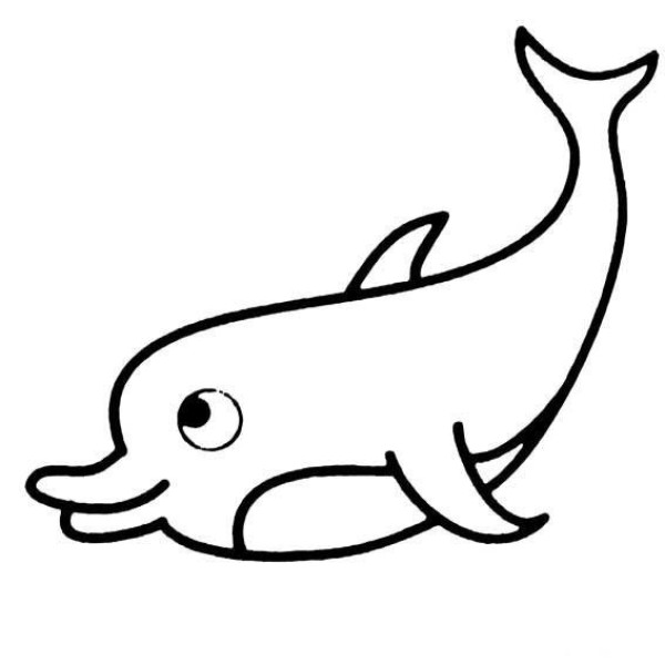 海洋里的海豚简笔画