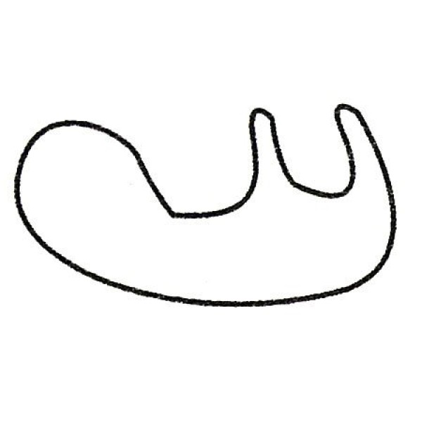 很懒的树懒简笔画