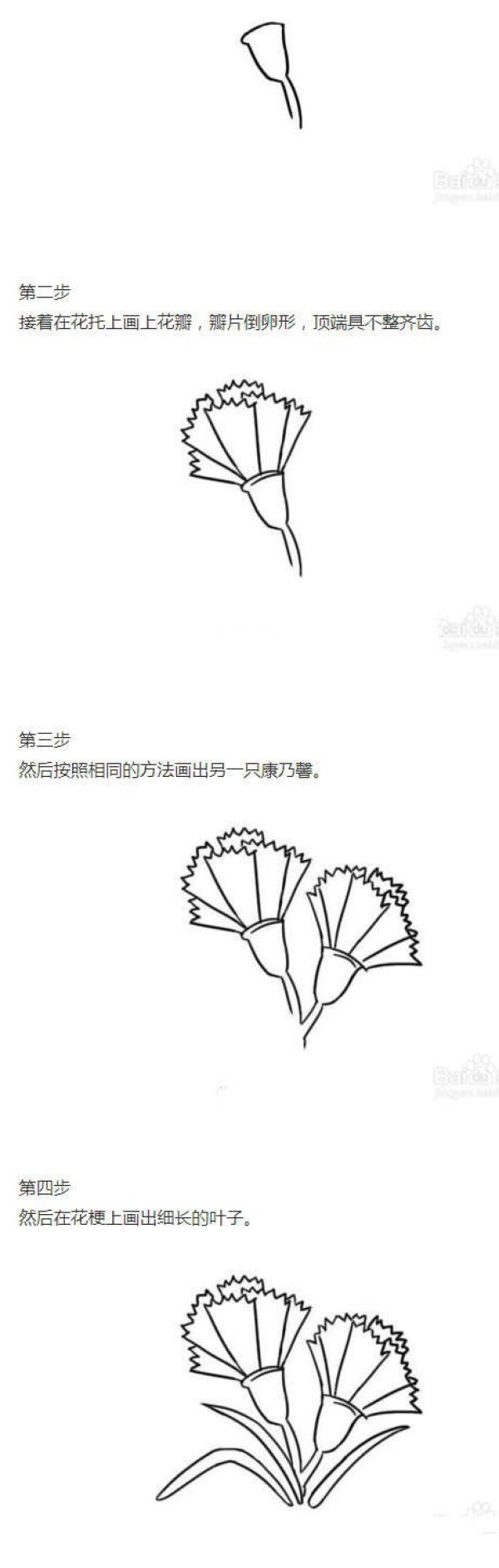 怎么画红色康乃馨