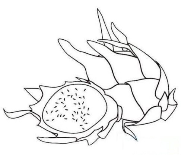 简单又容易学的火龙果简笔画