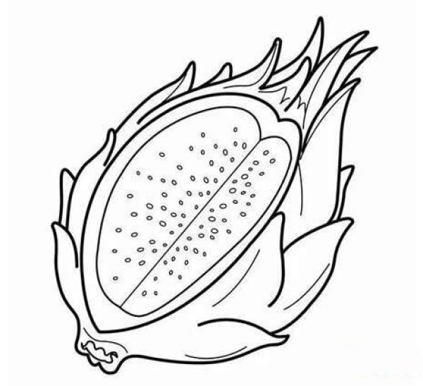 简单又容易学的火龙果简笔画