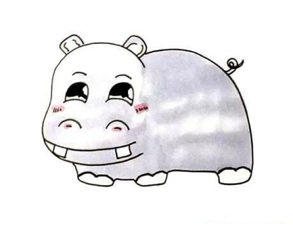 怎么画可爱的河马